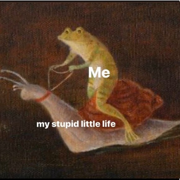 Meet your Posher, Rachel - Picture 1 of 1